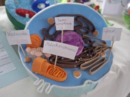 58978472913148868271059295218020663714142550n